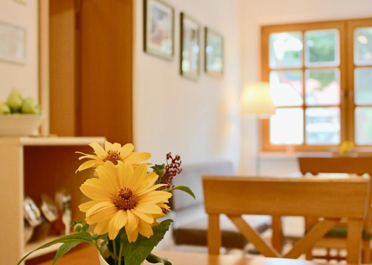 Pension Kurhausblick Bad Suderode Kültér fotó