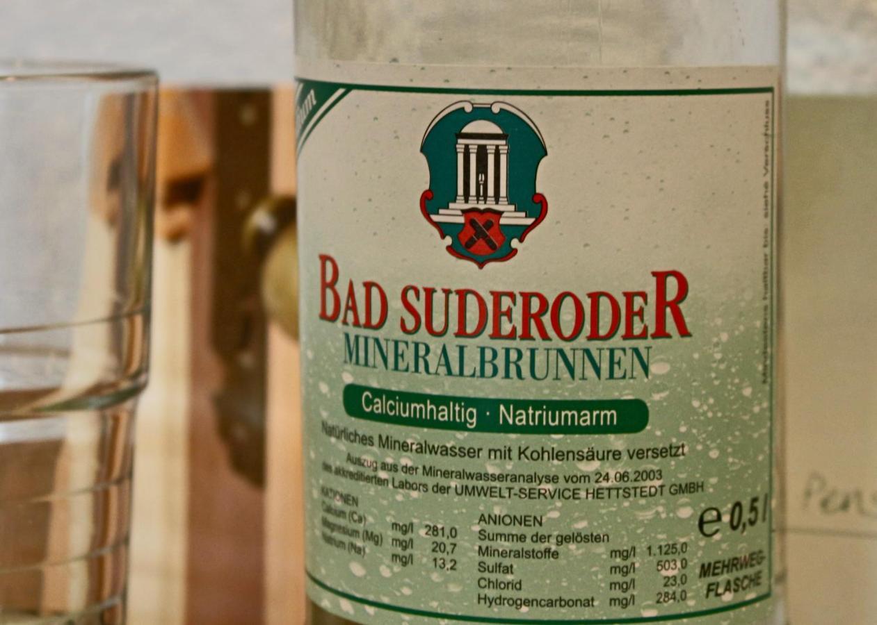Pension Kurhausblick Bad Suderode Kültér fotó