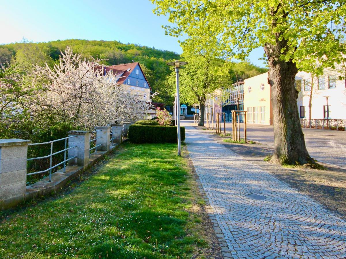 Pension Kurhausblick Bad Suderode Kültér fotó