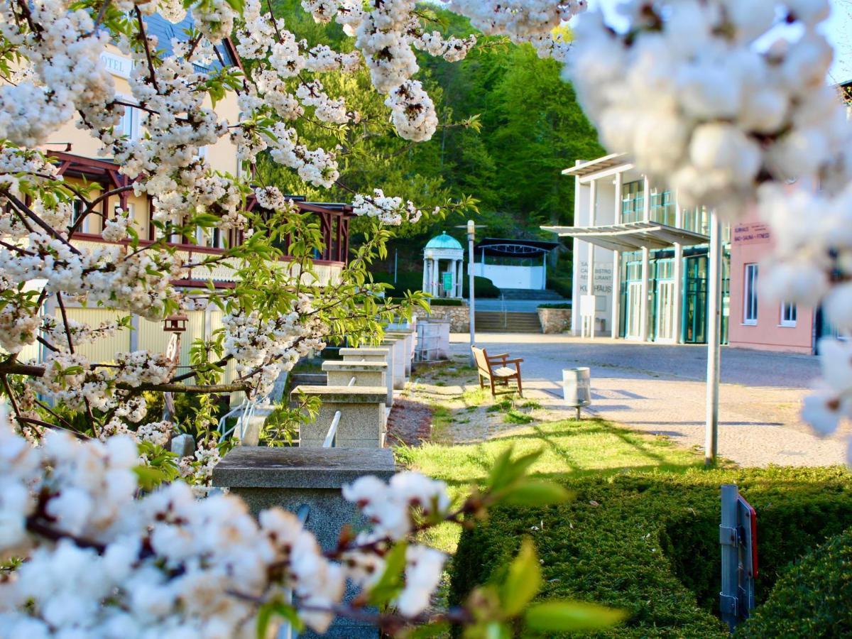 Pension Kurhausblick Bad Suderode Kültér fotó